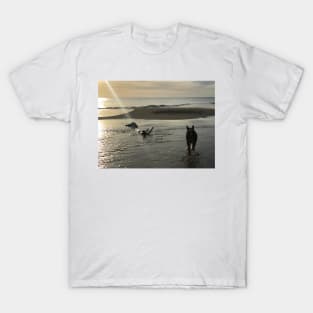 Beach Dog T-Shirt